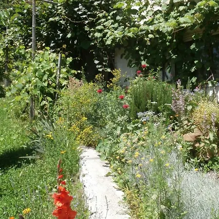 Dolce Risveglio Bed & Breakfast Sospirolo