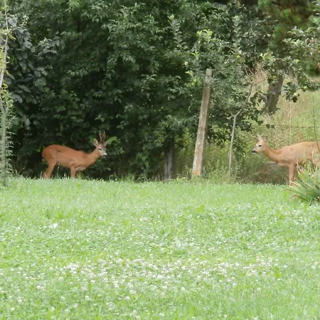 Dolce Risveglio Bed & Breakfast Sospirolo