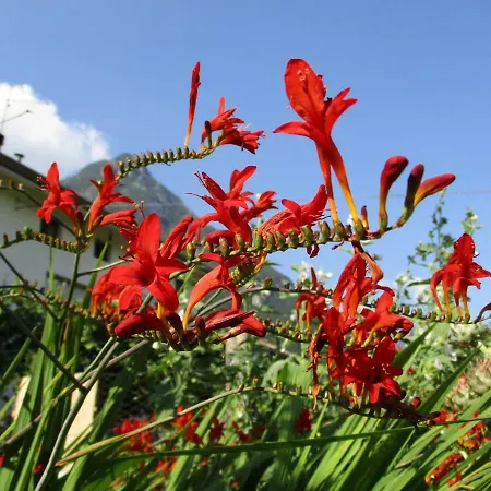 Dolce Risveglio Bed & Breakfast
