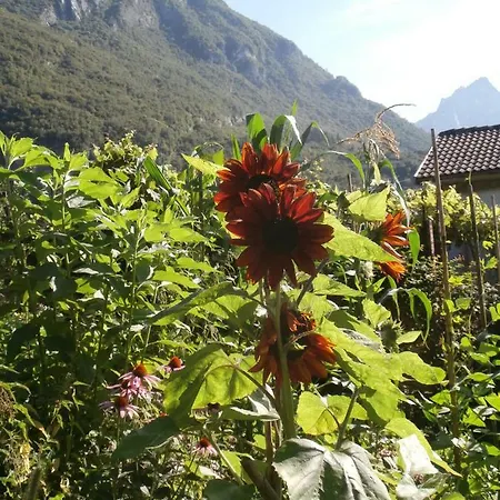 Bed & Breakfast Dolce Risveglio Sospirolo
