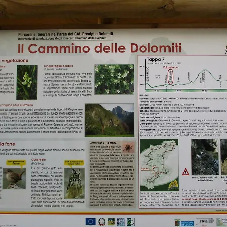 Dolce Risveglio
