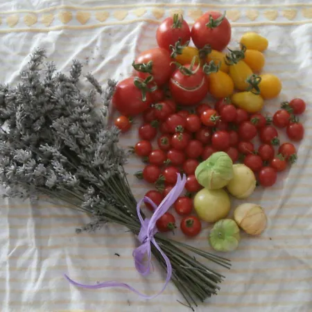 Bed & Breakfast Dolce Risveglio Sospirolo