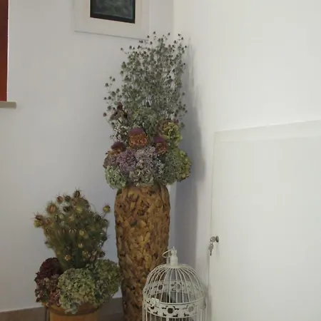 Bed & Breakfast Dolce Risveglio