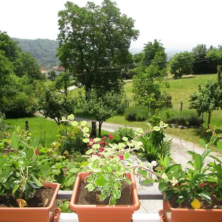 Dolce Risveglio Bed & Breakfast *